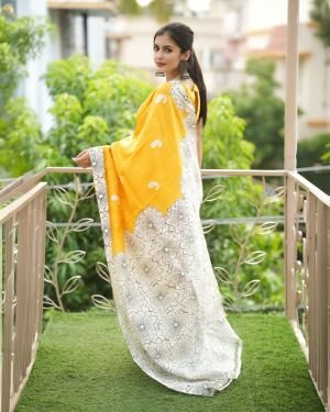 Saree 009