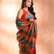 Saree 011